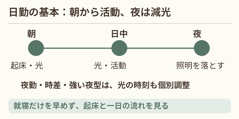 朝の光と活動、夜の光を抑える流れ、交代勤務は個別調整という一日の図
